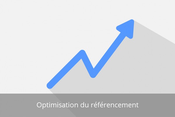 Optimisation du référencement Dijon